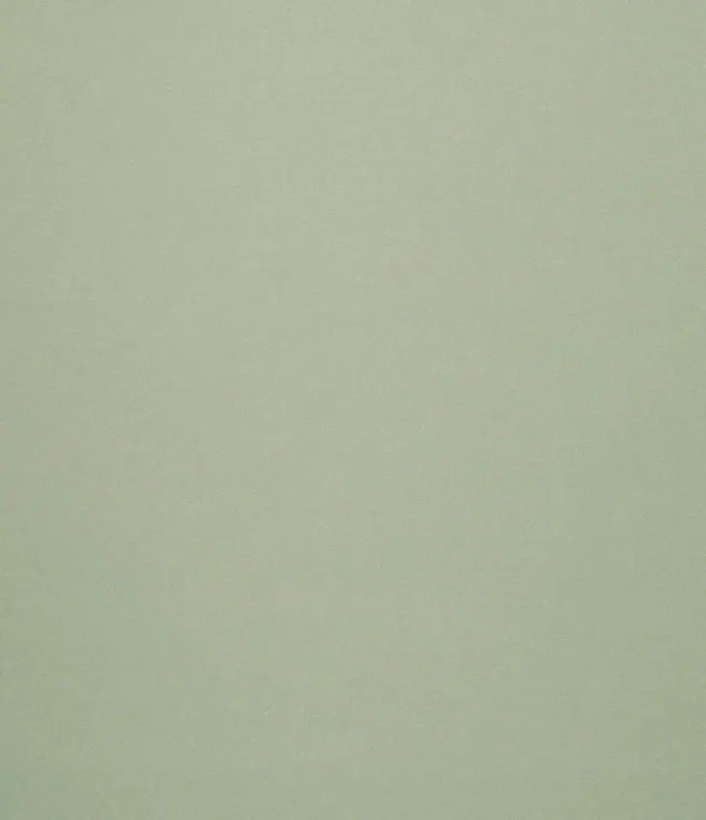 Рулонные шторы блэкаут Болид Олива