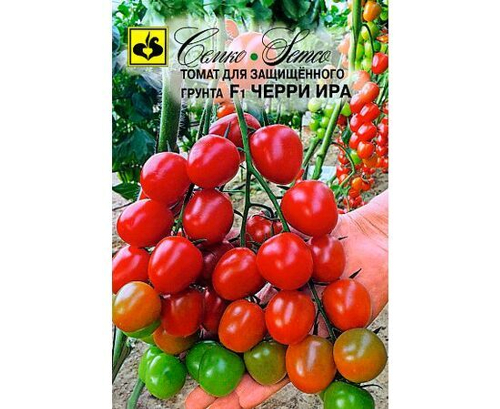 ТОМАТ Черри Ира Семко