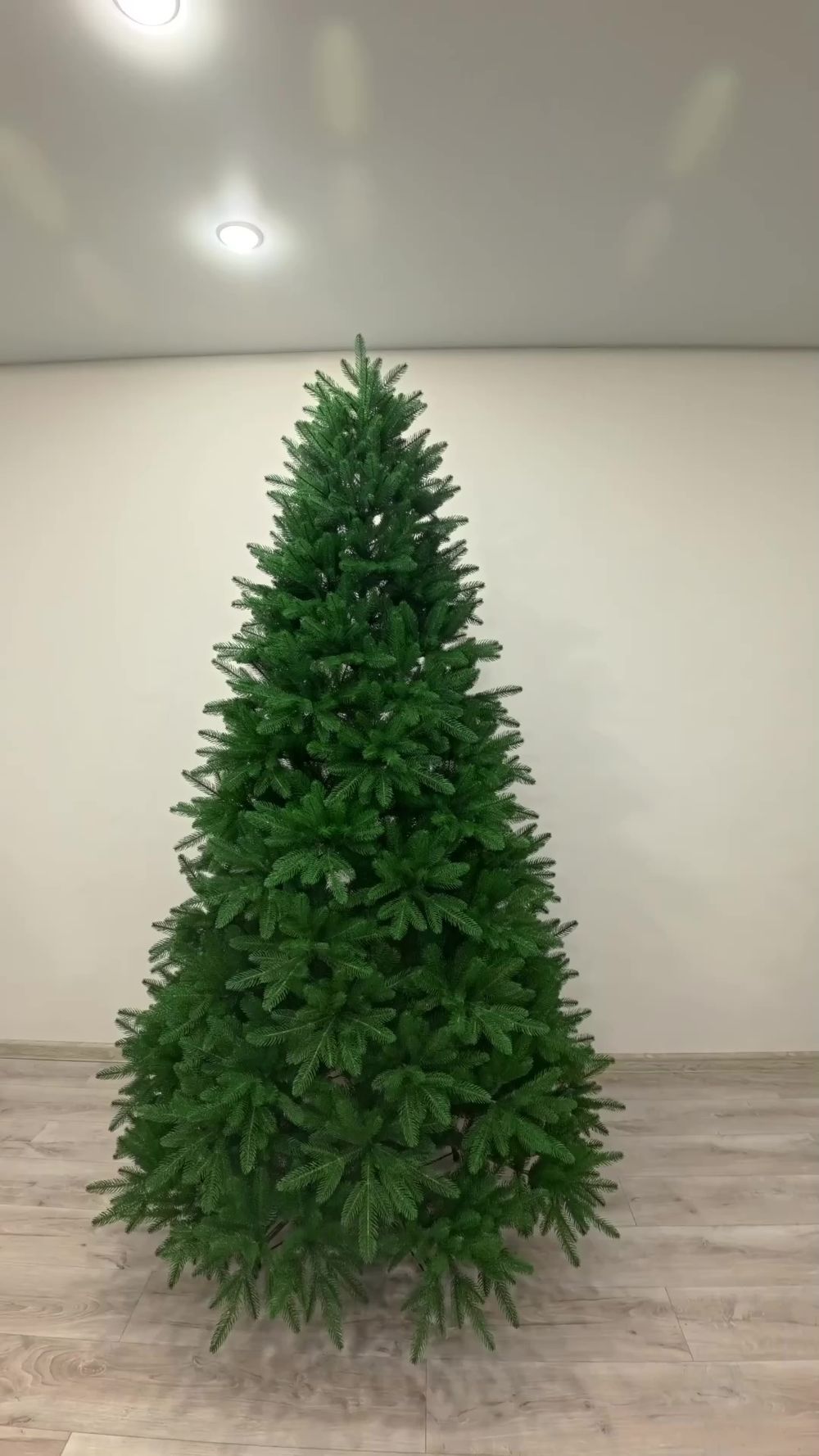 ель Барбара