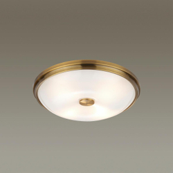 Накладной светильник Odeon Light 4956/4
