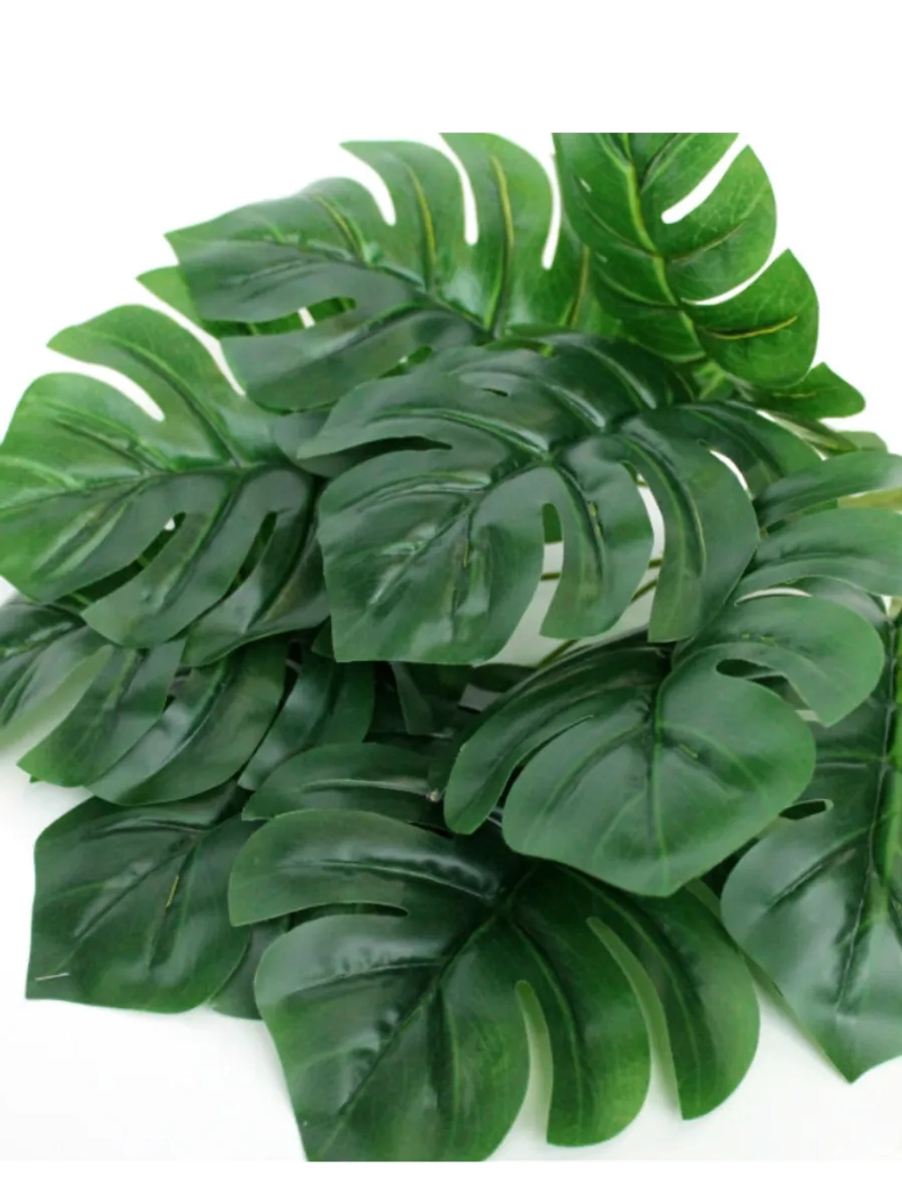 Куст монстера, 9 листьев. 3 шт.