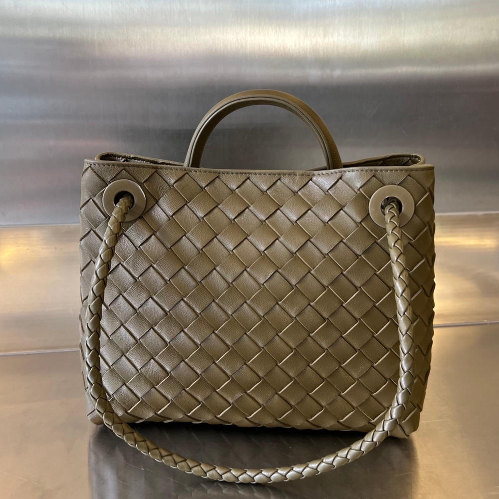 Bottega Veneta Small Andiamo 25 cm