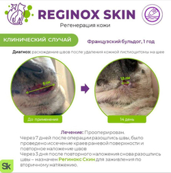 Регинокс скин гель для заживления ран, 20 гр