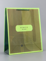 Пакет подарочный ламинированный вертикальный «Элегантность», 26×12×32 см, 10961846, Китай