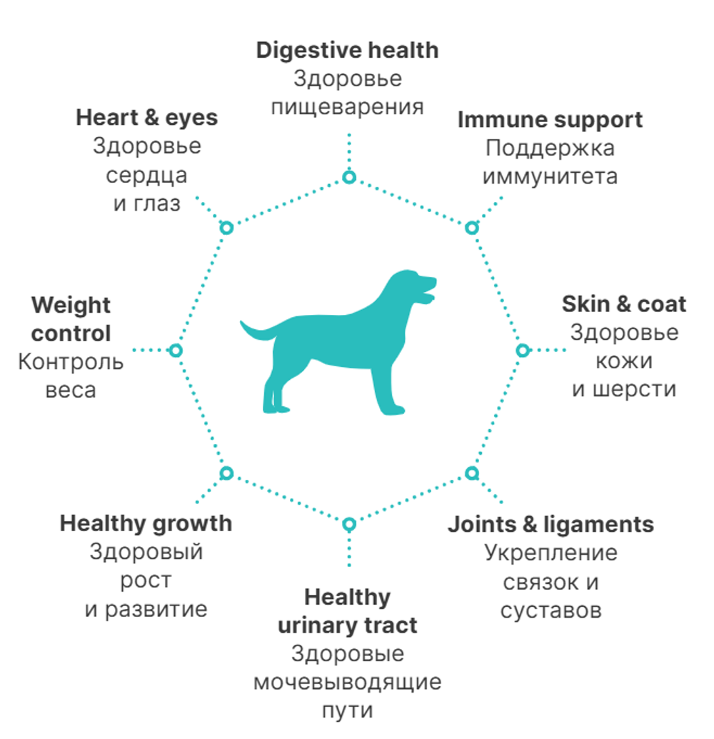 PREMIER Свежее филе лосося с индейкой для взрослых собак средних пород