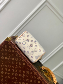 Louis Vuitton Speedy 20