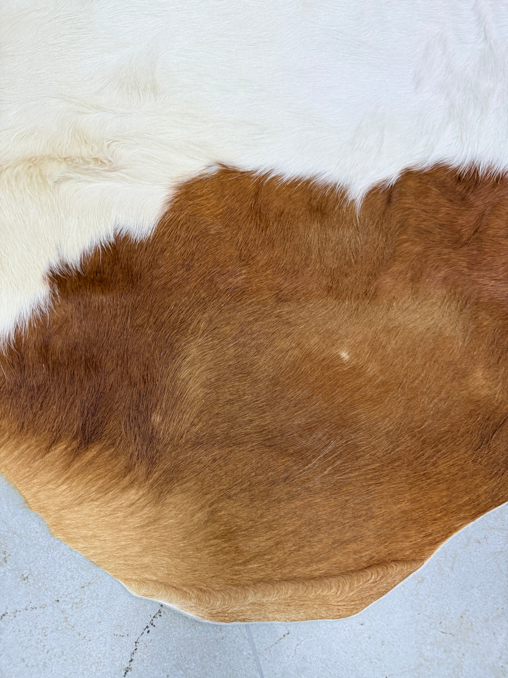 Коровья шкура на пол натуральная.