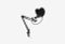 Fiero Vocal_0326529101732