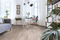 Линолеум полукоммерческий Profi Master Havanna Oak 1, 2,5х37м (рулон)