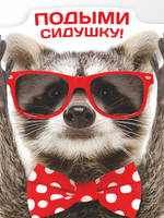 Наклейка с Енотом на унитаз Подыми подушку