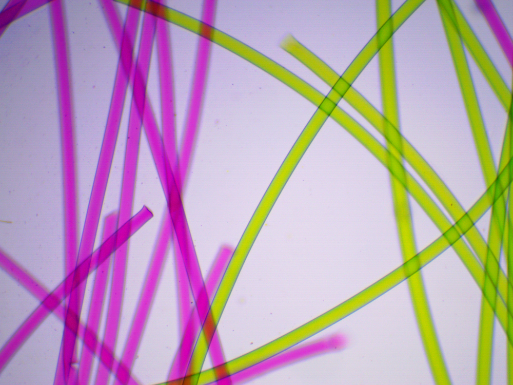 Видеоокуляр ToupCam UCMOS05100KPA