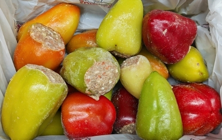 Перец фаршированный, прим вес 1кг, ИП Сидоренко А.А.