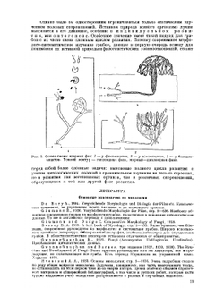 Микология | Л.И. Курсанов