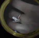 Кольцо Муха