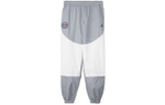 Jordan x Paris Saint-Germain Grey White, DJ0389-090