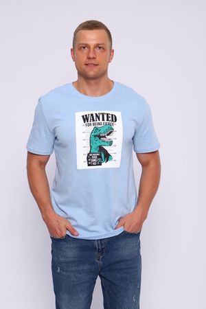 Мужская футболка Wanted