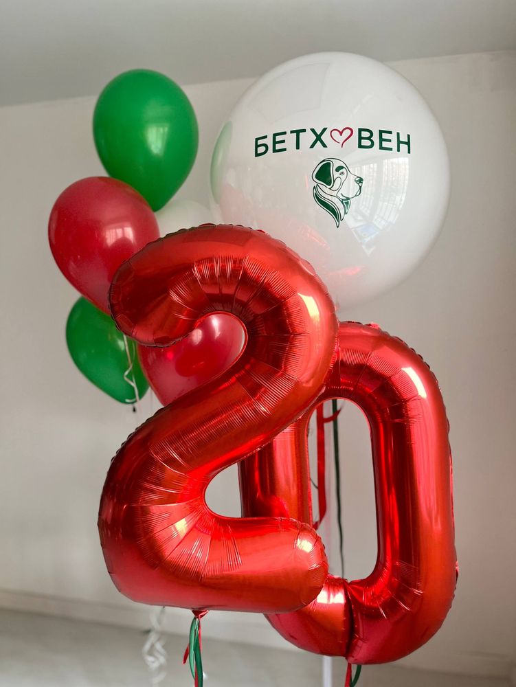 Воздушные шары корпоратив №3926