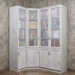 Книжный угловой №5