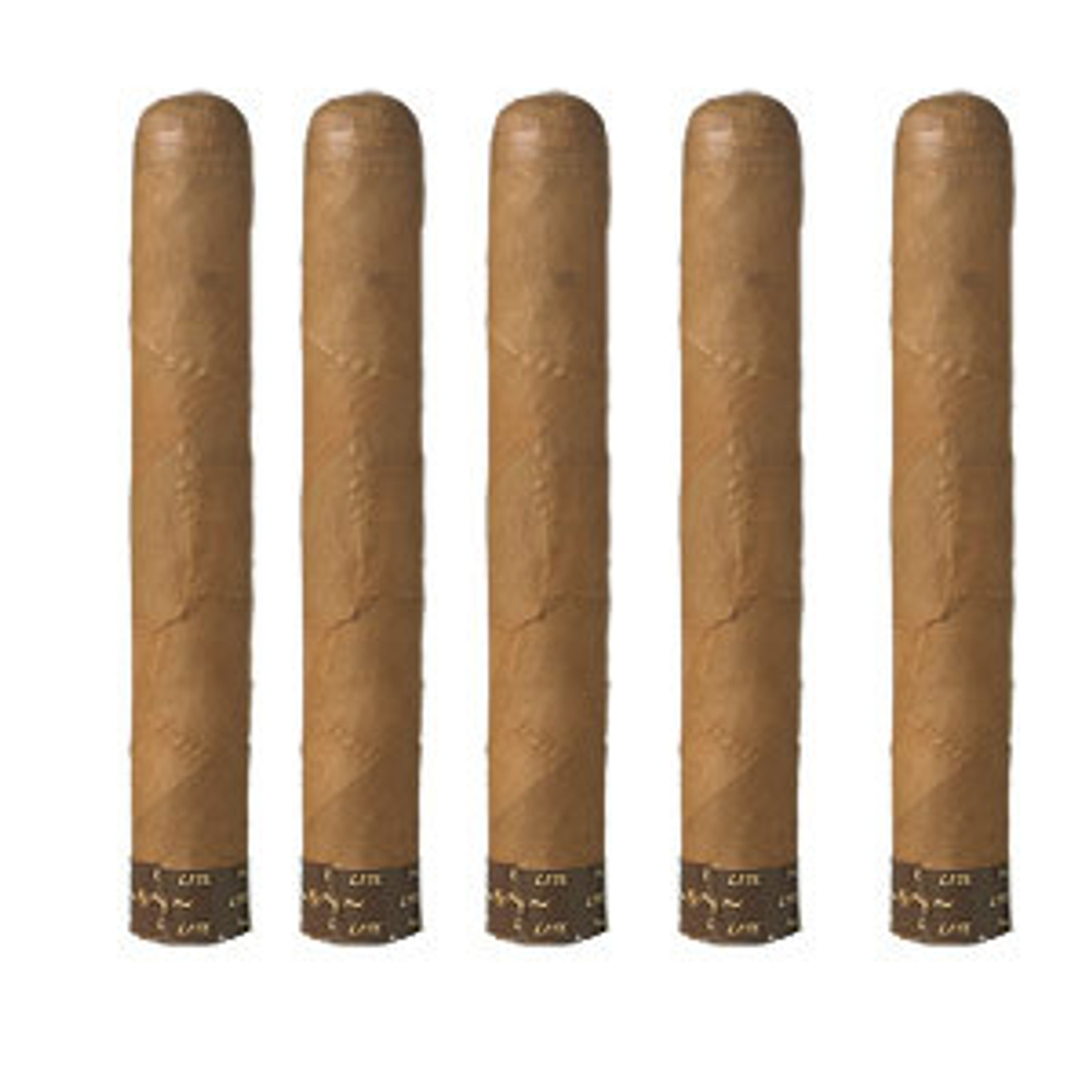 Rocky Patel The Edge Lite Robusto