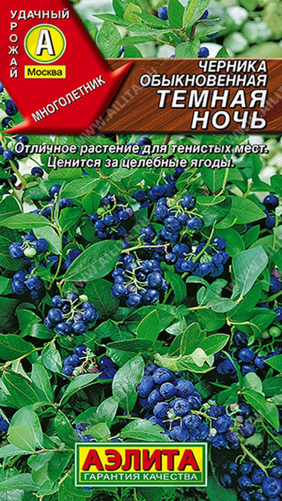 Черника обыкновенная "СТ. Темная ночь" 0,01г., Россия. Черника обыкновенная "СТ. Темная ночь" 0,01г., Россия.