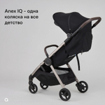 Детская коляска Anex iQ Basic NT 2 в 1 Sienna
