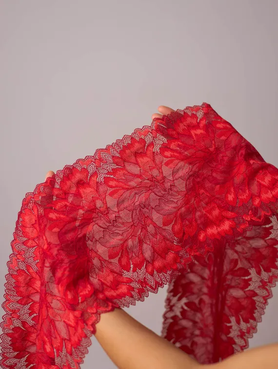 03-77 Кружево эластичное 24 см, красный 100