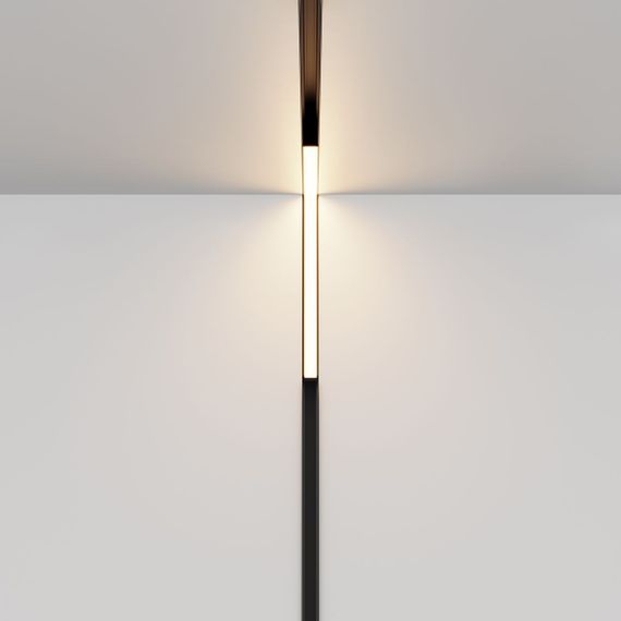 Трековый светодиодный светильник Maytoni Technical Exility Basis Angle TR102-24W-DS-B