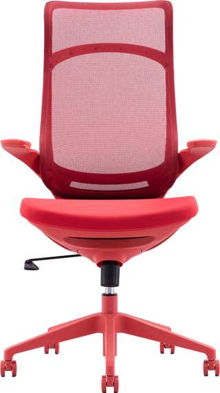 Кресло руководителя Everprof Spirit Сетка Красный
