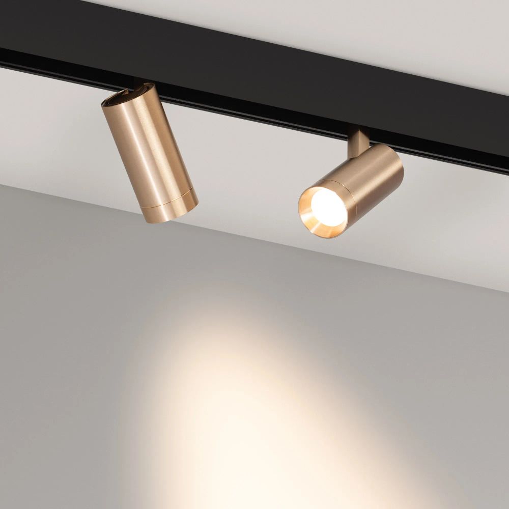 Светильник MAG-ORIENT-SPOT-R45-12W Warm3000 (GD, 24 deg, 48V, DALI) (Arlight, IP20 Металл, 5 лет) 040891