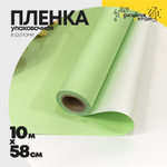 Пленка В рулоне 10 м х 58 см двухсторонняя (Серебряный, Салатовый)