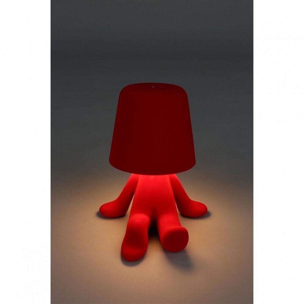 Зверь световой Aployt Olka APL.677.24.01