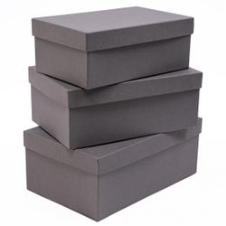 Коробка ПРЯМОУГОЛЬНАЯ 23,5*15*9,2