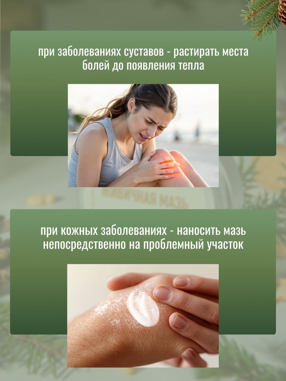 Живичная мазь