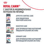 Royal Canin LIGHT WEIGHT CARE Корм консервированный для взрослых кошек для контроля набора веса в желе 85г