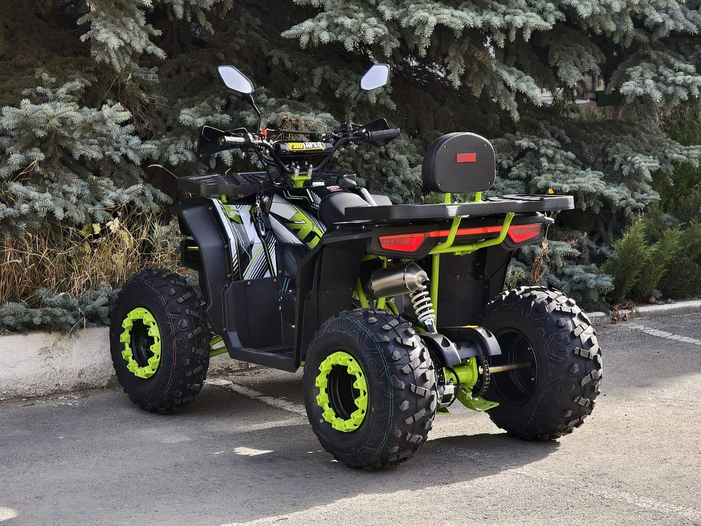 Lion 200Х черный