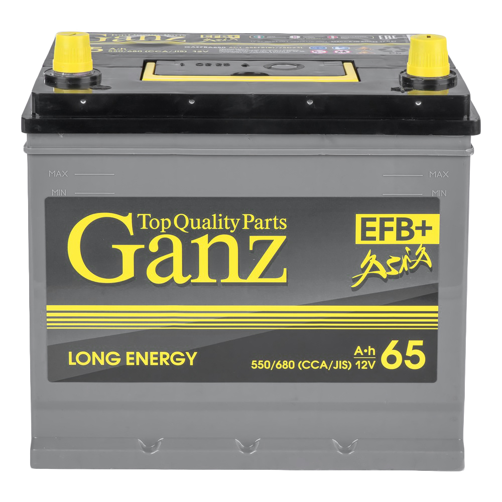 Аккумулятор GANZ ASIA EFB 65 А/ч обратный R+ 232x175x225 D23 EN 550 А
