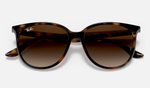 RAY-BAN RB4378 710/13