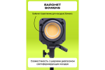 Осветитель светодиодный Raylab RL-100LED 2700-6500K с пультом