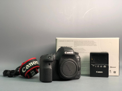 Canon 6D Mark II 55.000 кадров