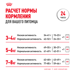 Royal Canin British Shorthair Adult Корм сухой сбалансированный для взрослых британских короткошерстных кошек - 4 кг