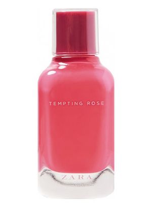 Zara Tempting Rose