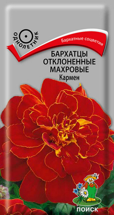 Бархатцы Кармен махр Поиск