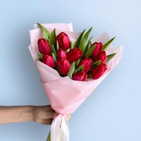 11 красных тюльпанов