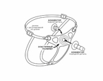 Пояс STRAP-ON женский телесный 9858ru