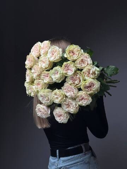 Букет из 25 розово-зеленых пионовидных роз под ленту