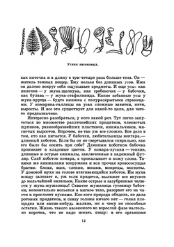 Юному энтомологу | П. И. Мариковский
