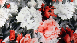 Микровелюр Xpoint 0076.04 Цветы