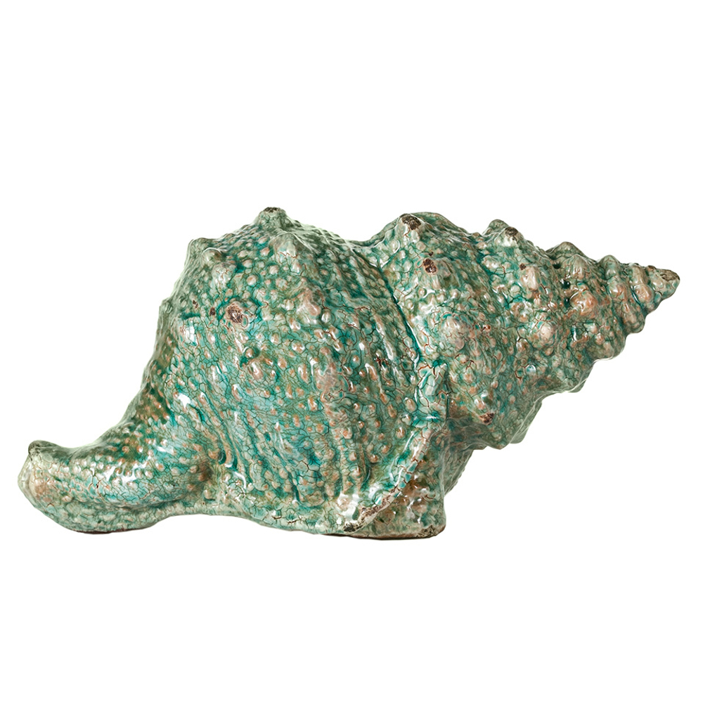 Ракушка декоративная 14 см Evergreen