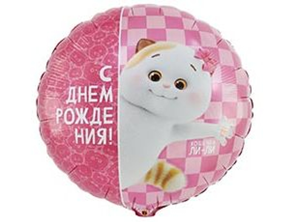 К 18" РУС ДР Басик Кошечка Ли-Ли