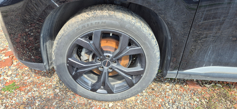 EXEED VX 2.0 DCT AWD President